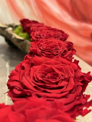 Bread & Roses by null