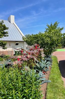 Luckett Vineyards by null