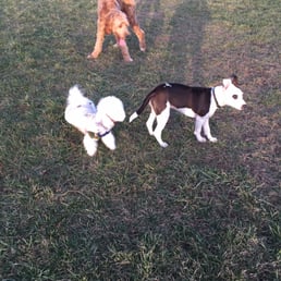 Meeting new friends Meeting new friends