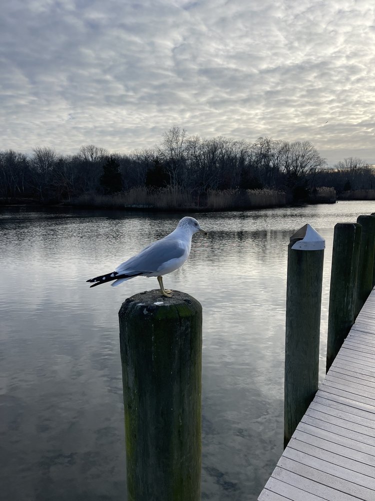 INDIAN ISLAND COUNTY PARK Updated September 2024 24 Photos & 10