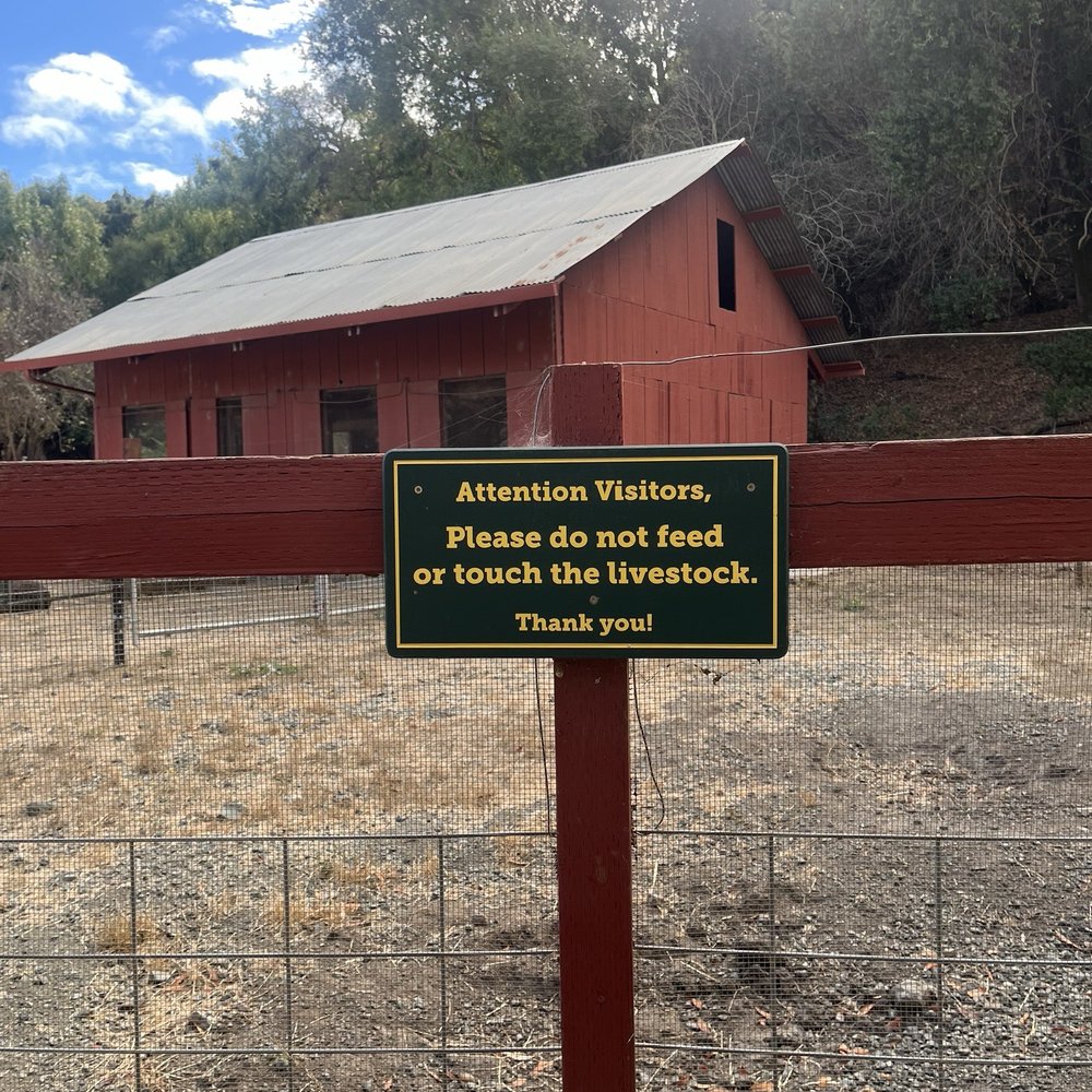 Deer Hollow Farm - Kids Activities Near Me - Cupertino, California