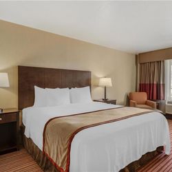 Best Western Plus Cedar City - 1 King Bed