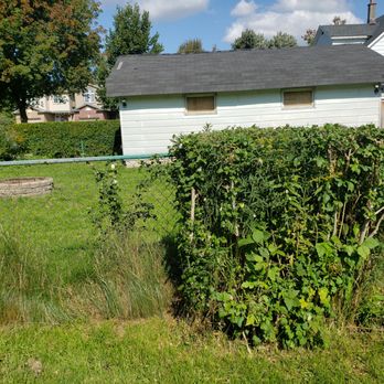 Wildroses Landscaping - claims its because a week passed since the cut.... grass short, bush trimmed... but checkout the grass on my fence. - Snow Removal Near Me - London, Ontario Wildroses Landscaping - claims its because a week passed since the cut.... grass short, bush trimmed... but checkout the grass on my fence. - Snow Removal Near Me - London, Ontario