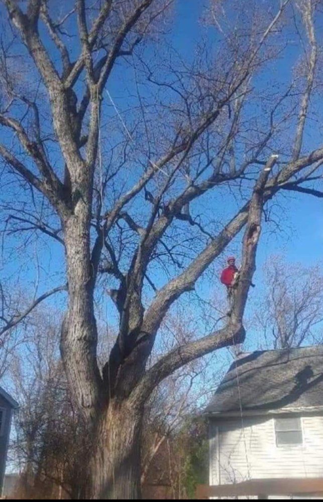 Slide of Jamie VanEtten