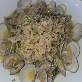 Scena Fusion Kitchen & Bar - Italian Near Me - La Mesa, California Scena Fusion Kitchen & Bar - Italian Near Me - La Mesa, California