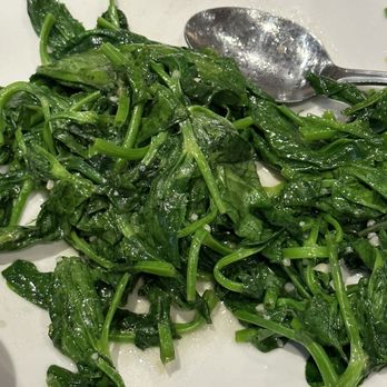 Dot Wo - Snow pea tips stir fry - Chinese Near Me - Oklahoma City, Oklahoma