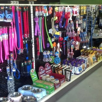 Lisa's Pet Place - Pet Stores Near Me - Painted Post, New York