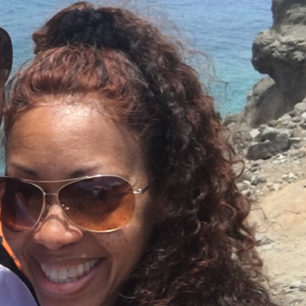 Shear Behaviors By Dana - front lace wig unit with highlights. - Hair Stylists Near Me - Altadena, California Shear Behaviors By Dana - front lace wig unit with highlights. - Hair Stylists Near Me - Altadena, California
