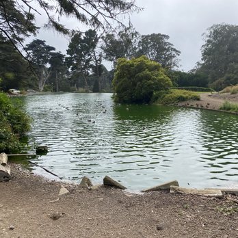 Lloyd Lake - Lloyd Lake - Lakes Near Me - San Francisco, California