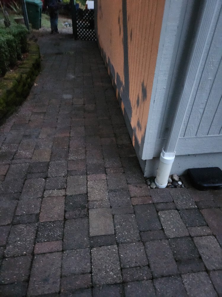 Slide of P4 Construction