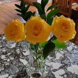 Lakes Floral, Gift & Garden - Home 6 days later, still as beautiful at the night I received them. Great quality,  only the best thanks Lakes Floral