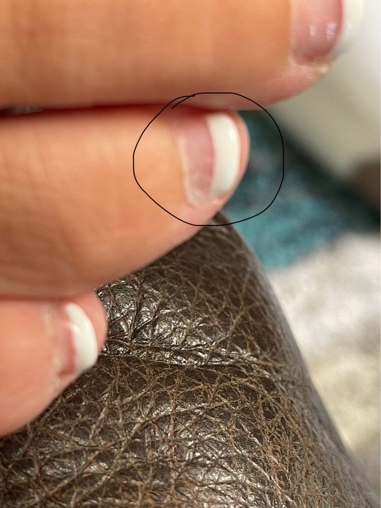 NAIL CHATEAU Updated August 2024 162 Photos & 144 Reviews 4356