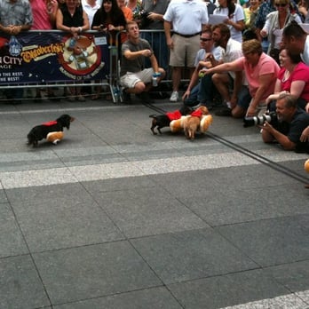 Fountain Square - 2010 Wiener Dog races - Music Venues Near Me - Cincinnati, Ohio Fountain Square - 2010 Wiener Dog races - Music Venues Near Me - Cincinnati, Ohio