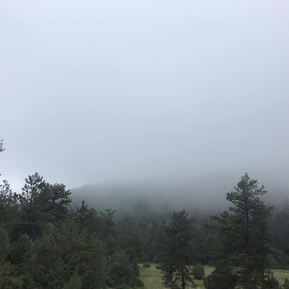Reynolds Park Open Space - Hiking Near Me - Conifer, Colorado