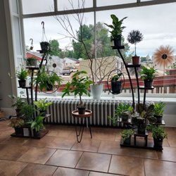 Bloom Flower Company