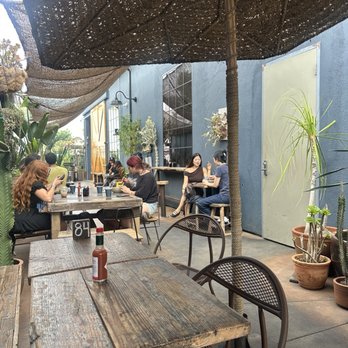 Salty Horse - Outside - Cafes Near Me - Costa Mesa, California Salty Horse - Outside - Cafes Near Me - Costa Mesa, California