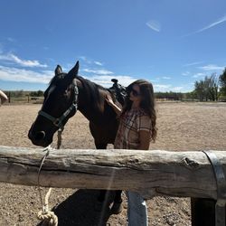 Bear Creek Stables