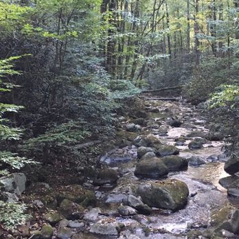 Roaring Fork Motor Nature Trail - Roaring Fork Hiking Trail - Hiking Near Me