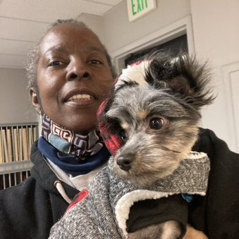 East Bay SPCA - Oakland - After is first hair cut at PetCo, they traumatized my Baby - Animal Shelters Near Me - Oakland, California