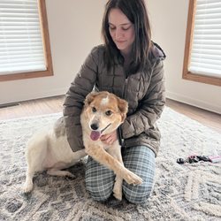 Rose’s Pet Services - Indie  just wants to love and be loved!