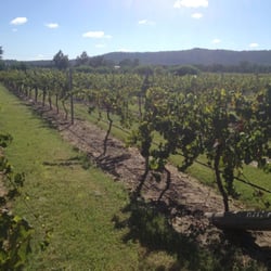 Krinklewood Vineyard