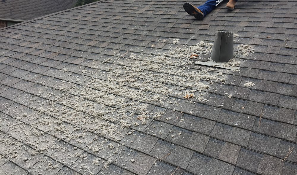 AALPS DRYER VENT CLEANING Updated May 2024 43 Photos San Antonio