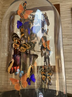 Creel and Gow by null