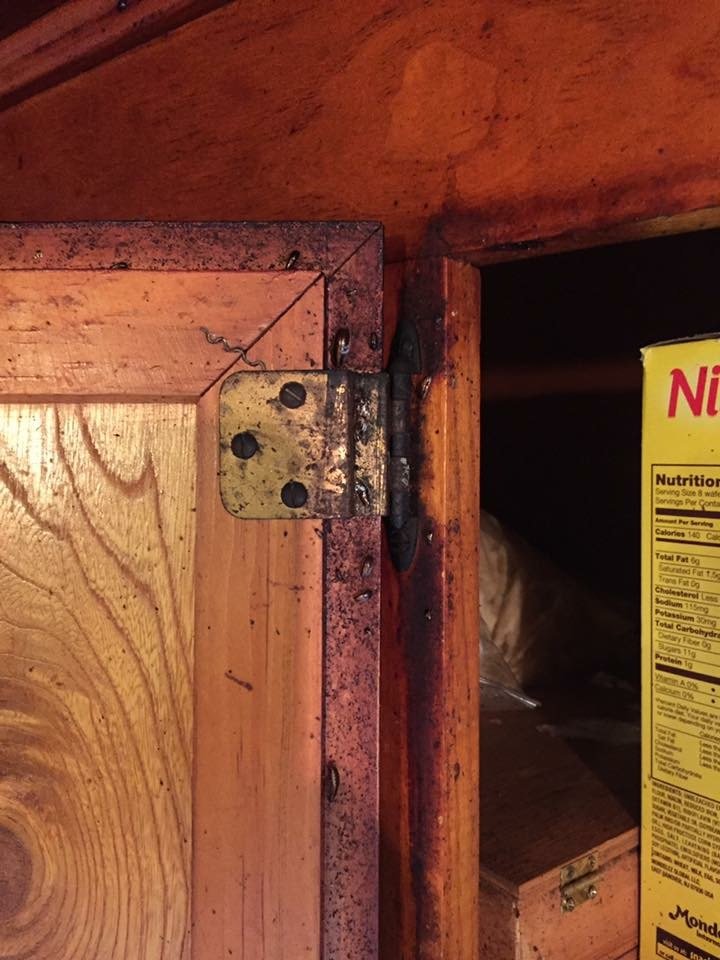 SANDHOFF SERVICES PEST AND TERMITE Updated August 2024 16 Photos