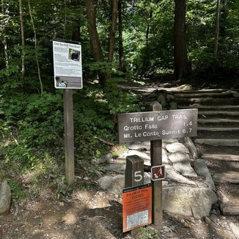 Grotto Falls - Hiking Near Me - Gatlinburg, Tennessee