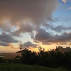 Pali Highway Scenic Lookout - 3.25.26 Good morning!