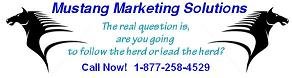 Mustang Marketing Solutions