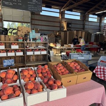 Ken & June Hazelnuts - Fresh fruit - Honey Near Me - Saint Paul, Oregon