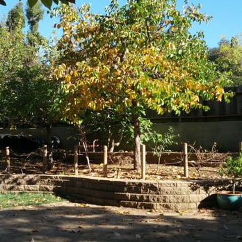 Oakland Garden School - Preschools Near Me - Oakland, California