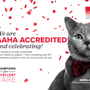 Campbell Village Veterinary Clinic