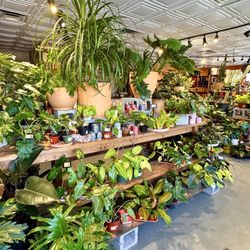 Maricopa Botanicals