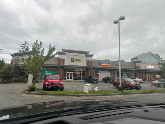 golden pothos vine Golden Pothos Houseplant with Planter - Medium (7