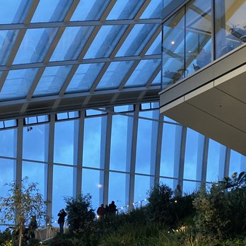 Sky Garden - Looking up from the bottom - Landmarks & Historical Buildings Near Me - London, XGL Sky Garden - Looking up from the bottom - Landmarks & Historical Buildings Near Me - London, XGL