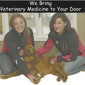 Mobile Pet Vet - Veterinarians Near Me