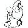 Photo of Canine Clipper