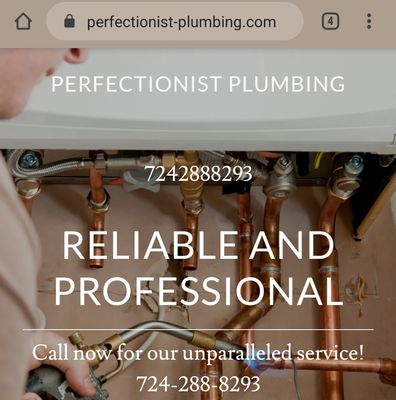 Perfectionist Plumbing Logo