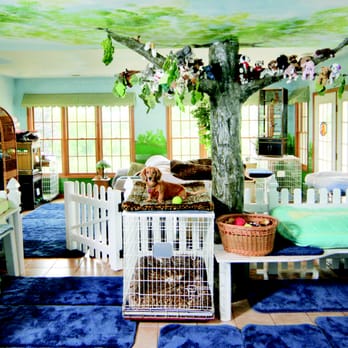 The Dogwoods - This is our Home Theater room where every night before bed is movie time! - Pet Sitting Near Me - Mount Horeb, Wisconsin The Dogwoods - This is our Home Theater room where every night before bed is movie time! - Pet Sitting Near Me - Mount Horeb, Wisconsin