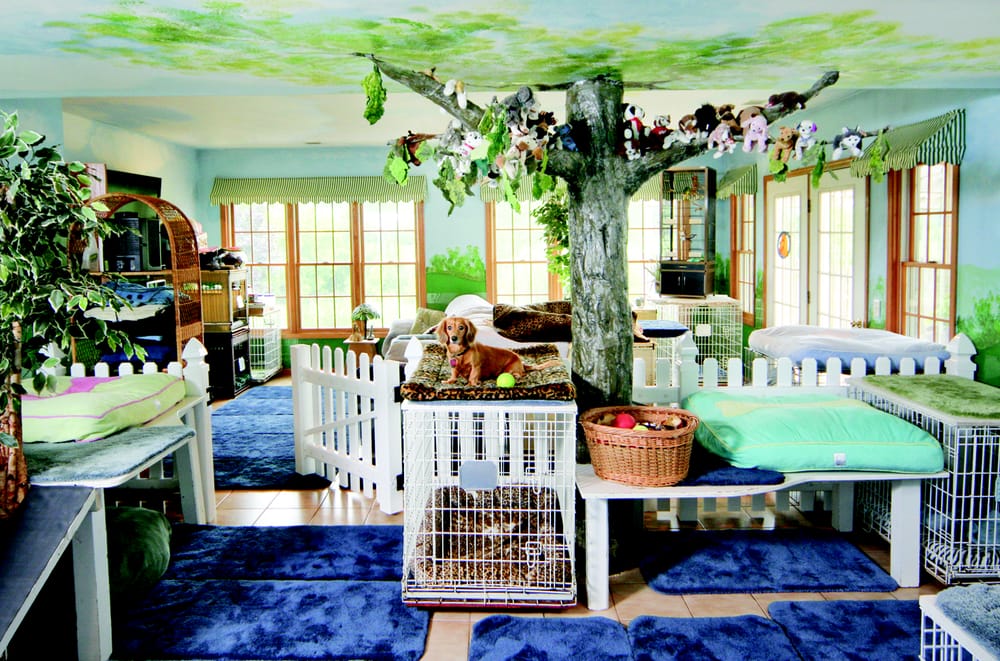 The Dogwoods - pet boarding facility in Mount Horeb, WI