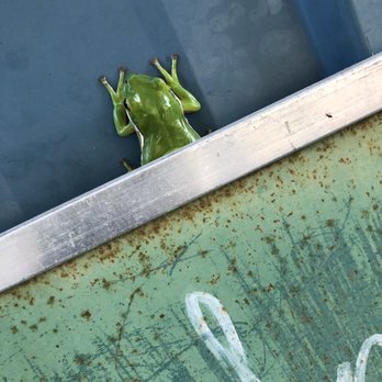 Fisherman's Corner - Ask the lady on the patio about the frog!! - Cajun/Creole Near Me - Pensacola, Florida Fisherman's Corner - Ask the lady on the patio about the frog!! - Cajun/Creole Near Me - Pensacola, Florida