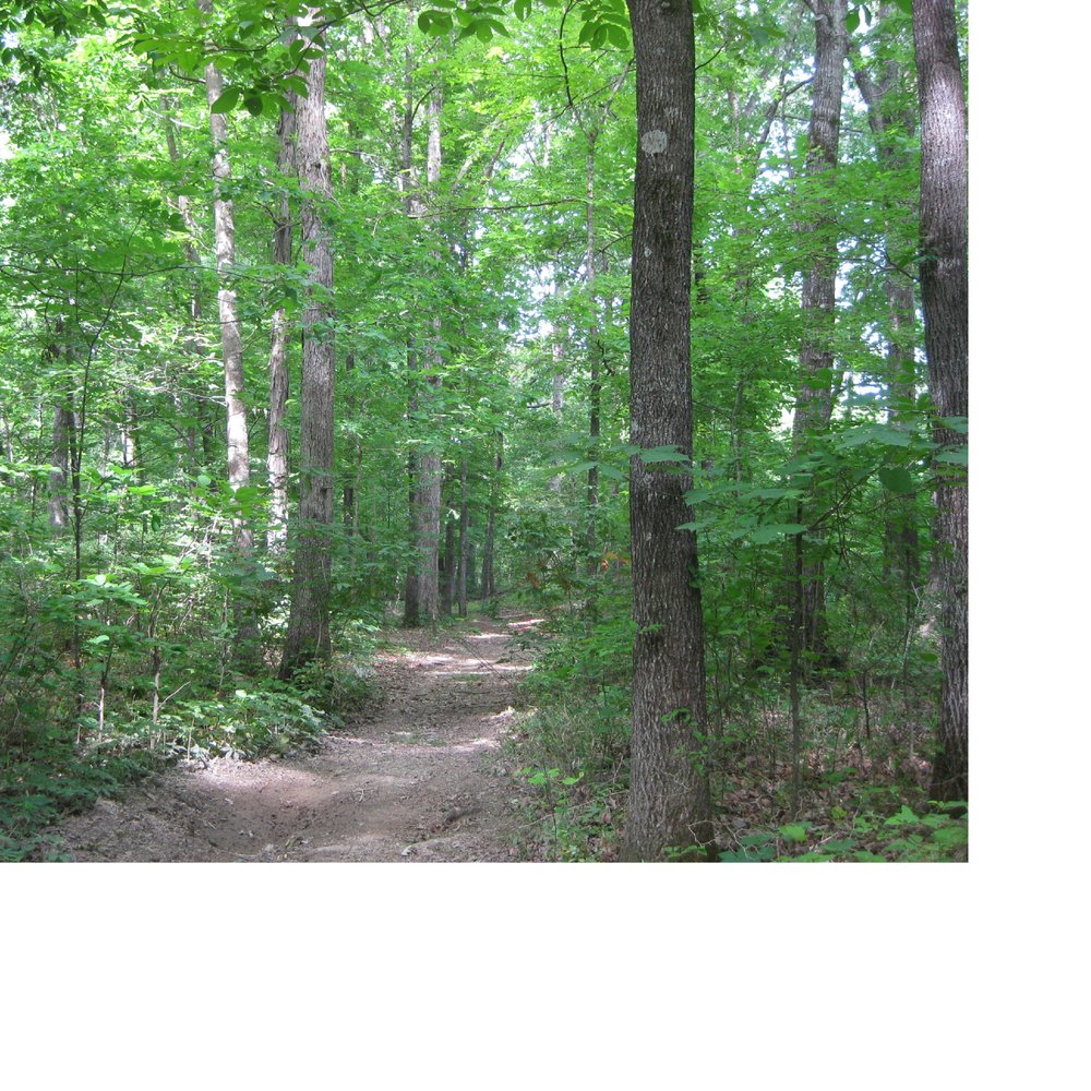 Nonconnah Greenbelt - Hiking Near Me - Memphis, Tennessee Nonconnah Greenbelt - Hiking Near Me - Memphis, Tennessee
