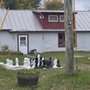 Crow's Nest Campground