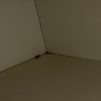 Craig Ranch Villas - Bugs and dirt/debris upon move in. - Apartments Near Me - North Las Vegas, Nevada Craig Ranch Villas - Bugs and dirt/debris upon move in. - Apartments Near Me - North Las Vegas, Nevada