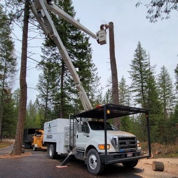 Big Nick's Tree Management - Tree Services Near Me Big Nick's Tree Management - Tree Services Near Me