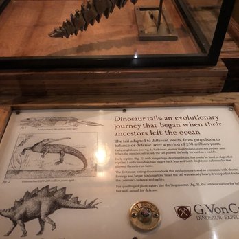 Bishop Museum - Dinosaur exhibit - Museums Near Me - Honolulu, Hawaii Bishop Museum - Dinosaur exhibit - Museums Near Me - Honolulu, Hawaii