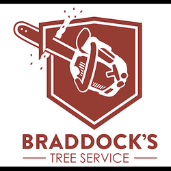 Braddock's Tree Service