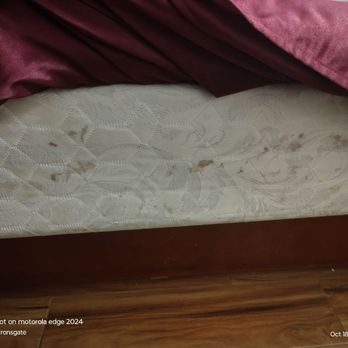 Tropic Lodge - Dried blood. - Hotels Near Me - Garden Grove, California Tropic Lodge - Dried blood. - Hotels Near Me - Garden Grove, California